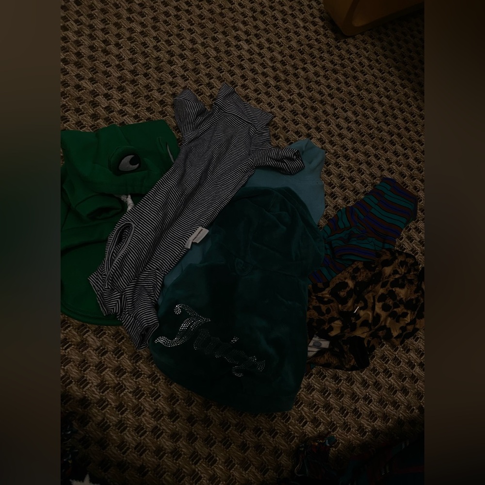 6 pack bundle of clothes for cat sphynx